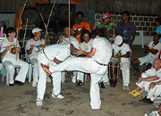 Barracão D’Angola (centro cultural)